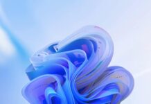 Windows 11 KB5070773 update