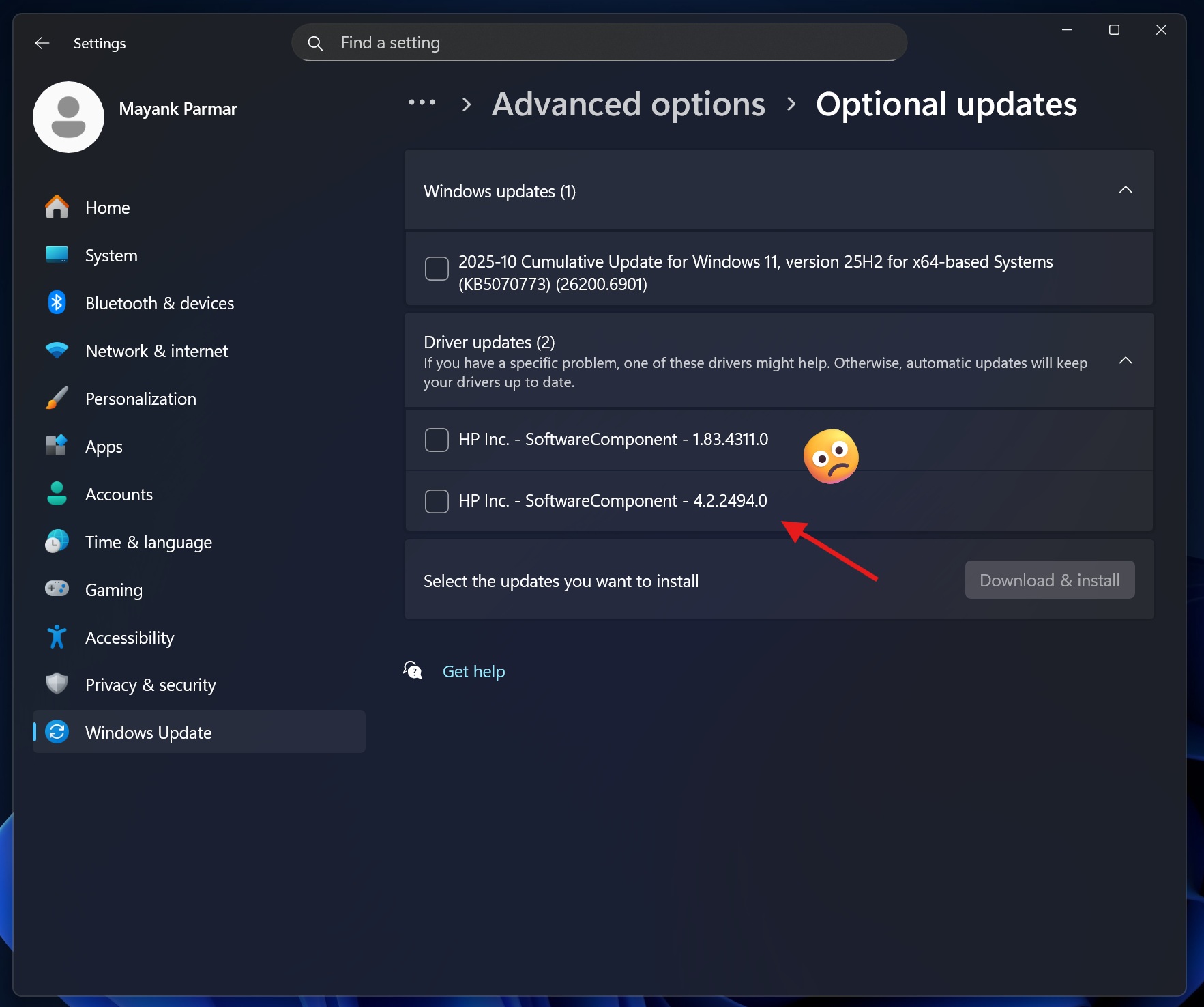 Windows 11 driver updates with confusing name
