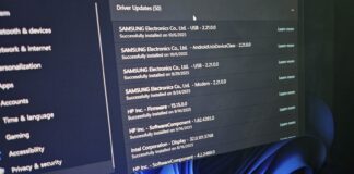 Windows 11 duplicate driver updates