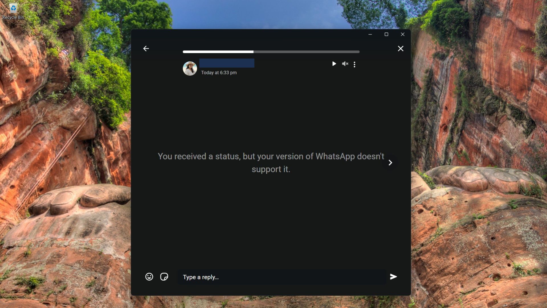 Some Status updates doesn't show properly in web wrapper WhatsApp