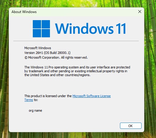 Windows 11 26H1 winver