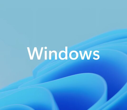 Windows 11