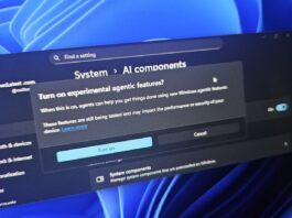 Windows 11 AI Agent feature