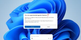 Windows 11 Agents Malware