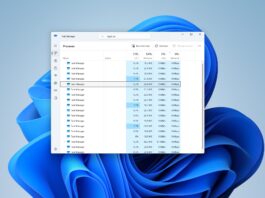 Windows 11 Task Manager performance bug Windows 11 Task Manager performance bug
