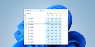 Windows 11 Task Manager performance bug