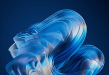 Windows 11 driver errors