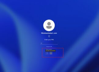 Windows 11 login screen password issue