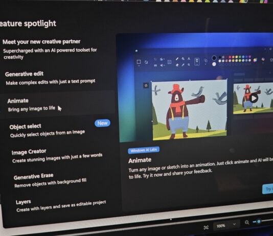 Microsoft Paint for Windows 11