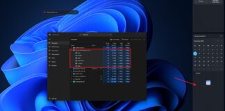 Windows 11 WebView 2