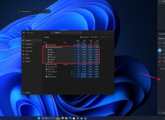 Windows 11 WebView 2
