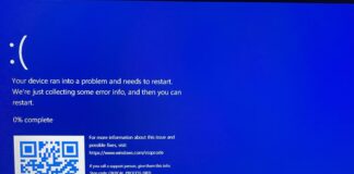 Windows 11 error screen