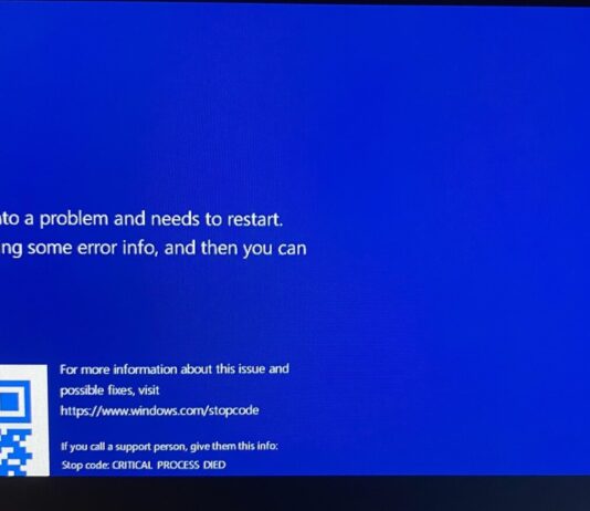 Windows 11 error screen