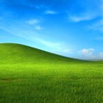Windows XP