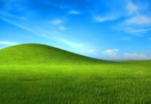 Windows XP