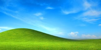 Windows XP