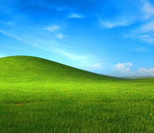 Windows XP