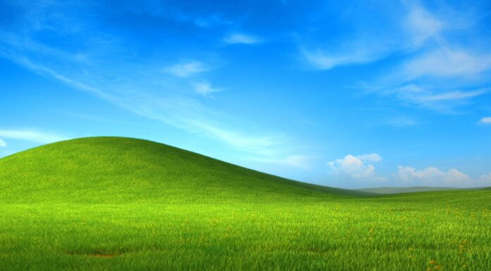 Windows XP