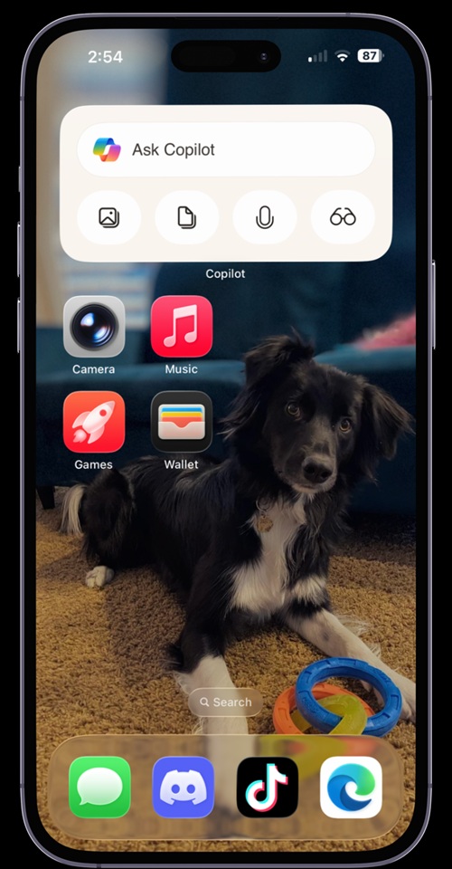 Copilot widget for iOS