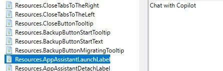 References to Chat with Coilot