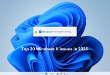 Top 20 Windows 11 issues in 2025