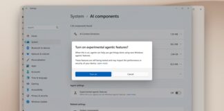 Windows 11 AI feature