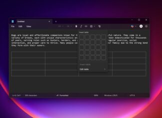 Windows 11 Notepad tables feature