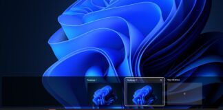 Windows 11 webp desktop background