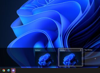 Windows 11 webp desktop background