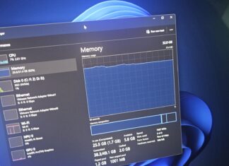 Windows 11 32GB RAM in Task Manager