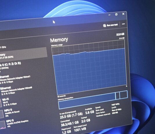 Windows 11 32GB RAM in Task Manager