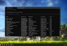 store cli search in windows terminal