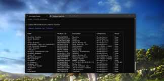 store cli search in windows terminal