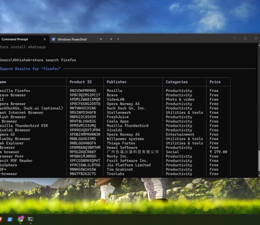 store cli search in windows terminal