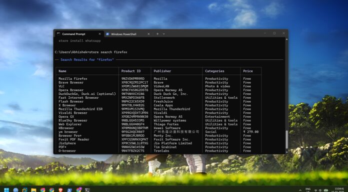 store cli search in windows terminal