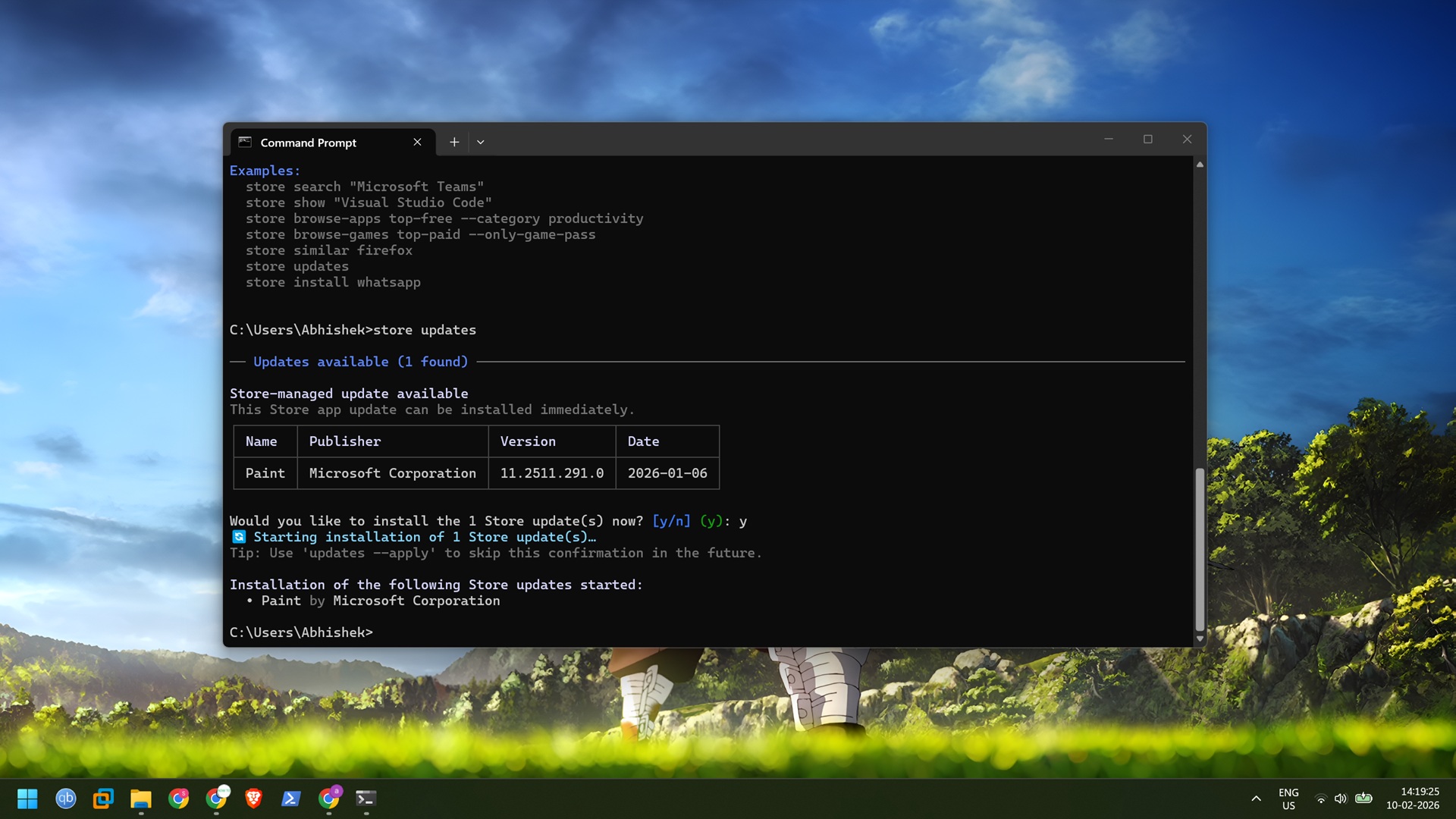 updating store apps via store cli tool windows terminal