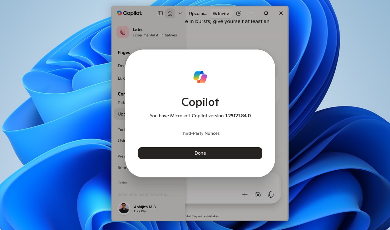Checking Copilot version