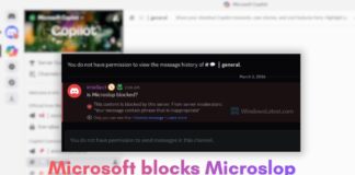 Copilot's official Discord channel was locked down after users went haywire with unflattering nicknames targetted at Microsoft