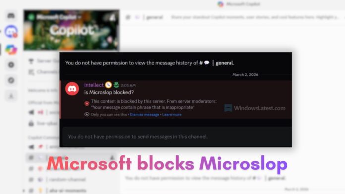 Copilot's official Discord channel was locked down after users went haywire with unflattering nicknames targetted at Microsoft