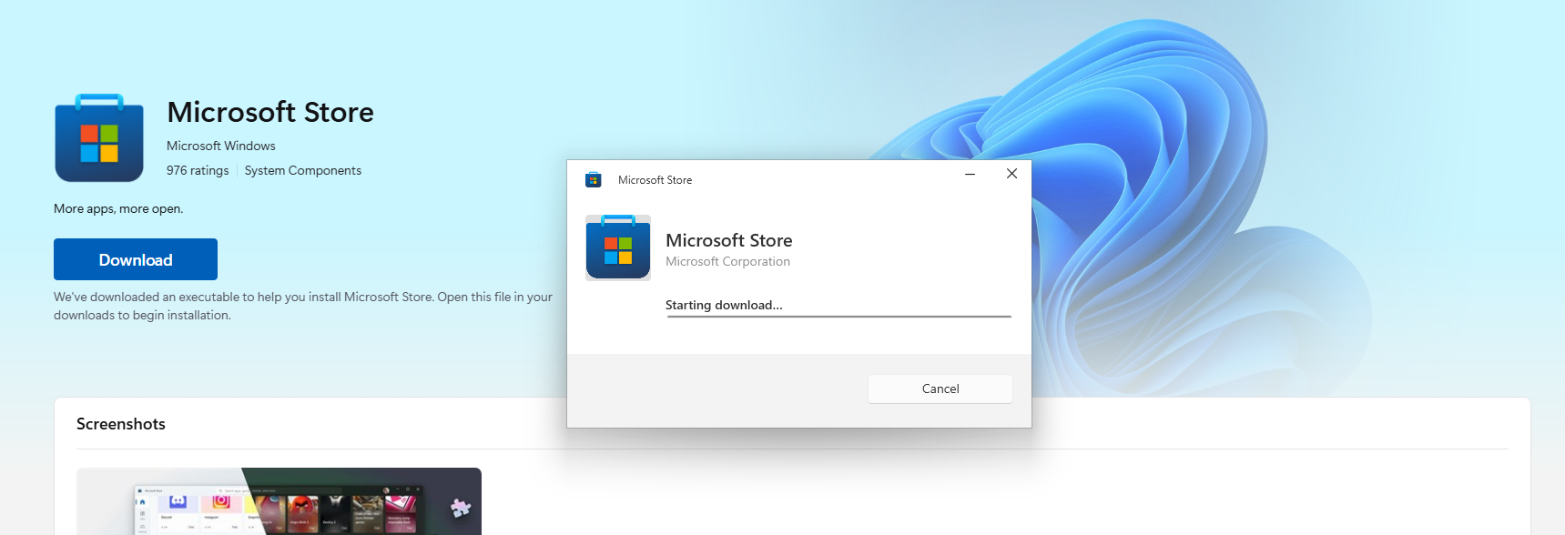 Installing Microsoft Store