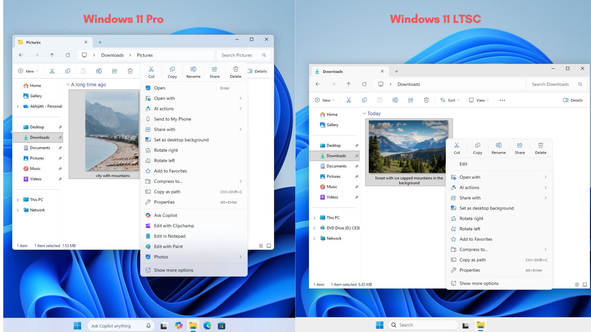 File Explorer context menu in Windows 11 LTSC is noticeably shorter compared to Pro