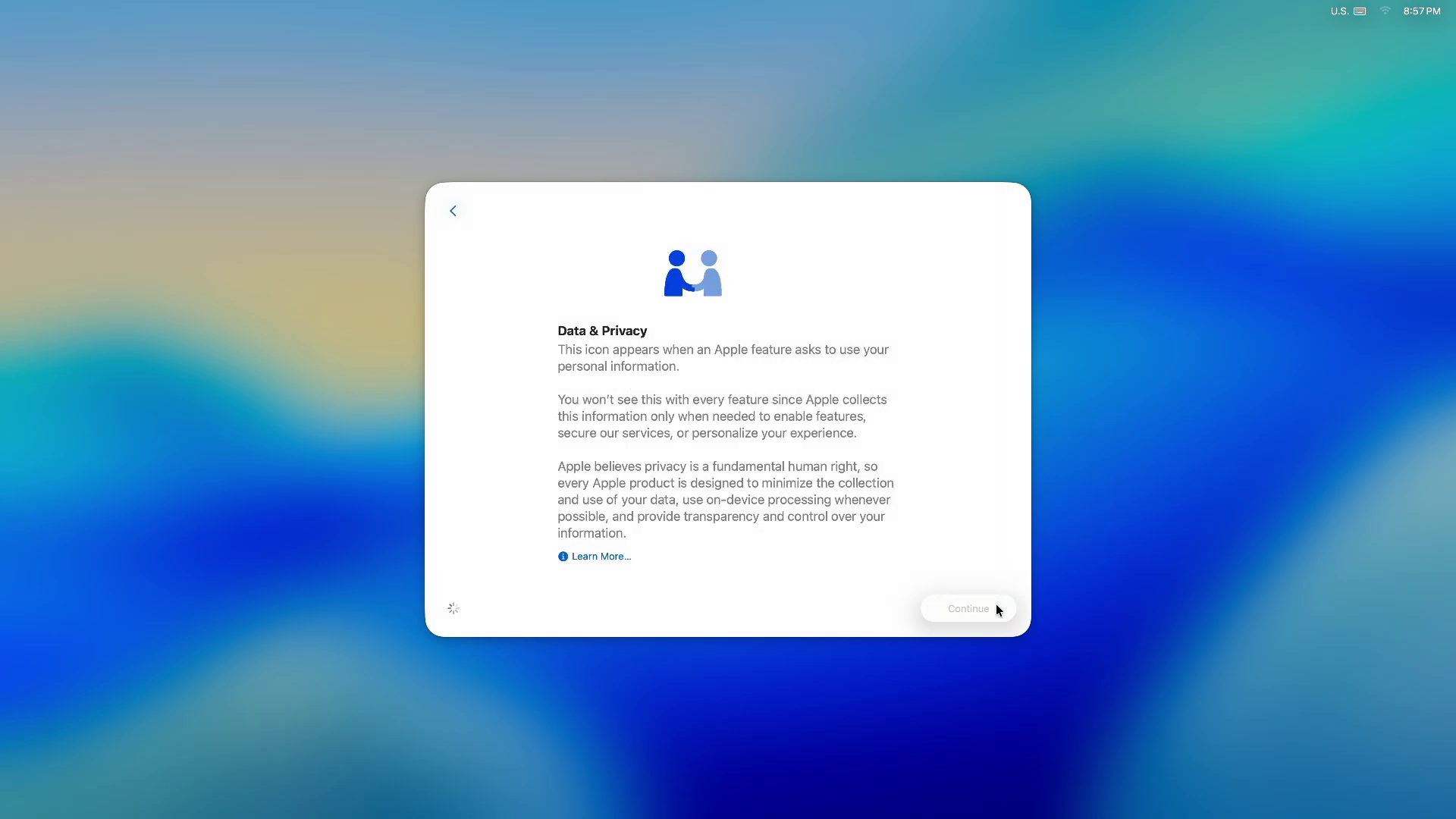 Privacy page during macOS setup
