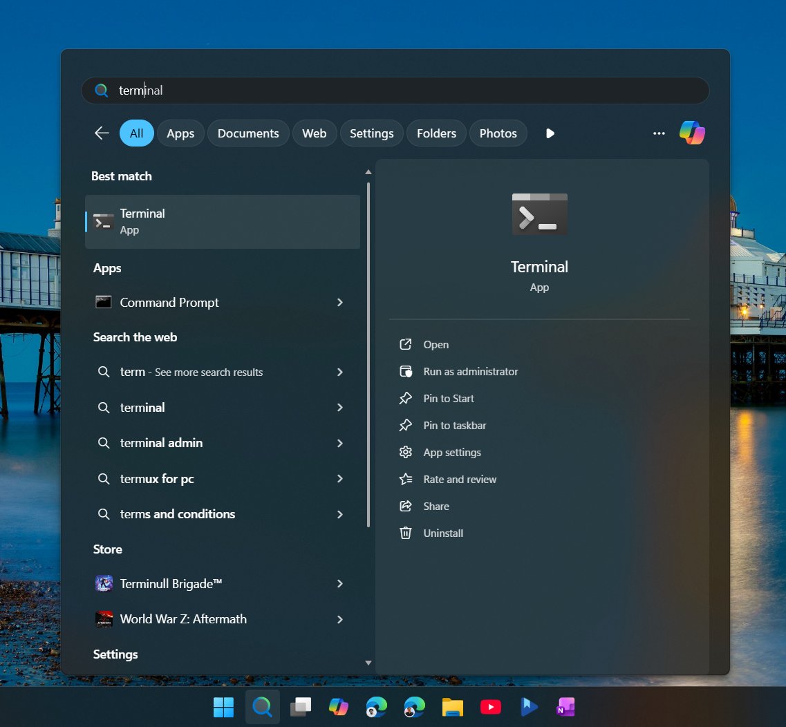 Typing Terminal actually shows Terminal in Windows Search