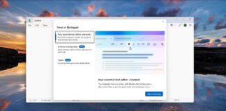 Windows 11 Notepad app with image