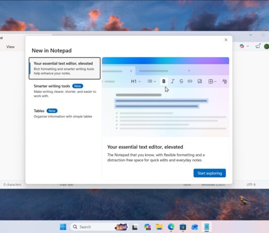 Windows 11 Notepad app with image