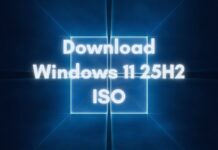 Download Windows 11 25H2 ISO file