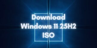 Download Windows 11 25H2 ISO file