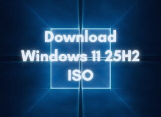 Download Windows 11 25H2 ISO file