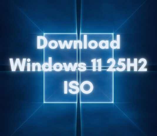Download Windows 11 25H2 ISO file