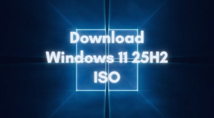 Download Windows 11 25H2 ISO file
